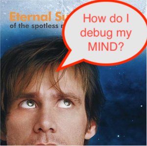 Eternal Sunshine of the Debugged Mind